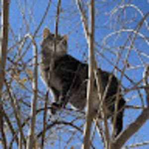 Meet your Posher, Lila